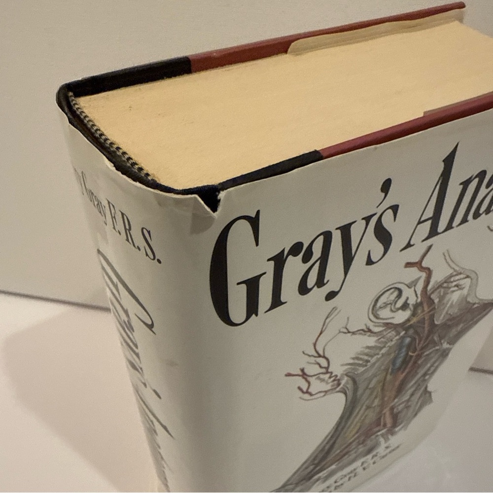 Gray’s Anatomy by Henry Gray 1995 Edition Hardcover. Pre-owned Good Condition - Picture 2 of 5